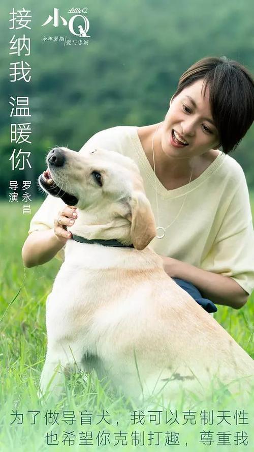 江苏省高中毕业证照片的钢印谁盖的